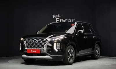 Hyundai Palisade · 2019 год