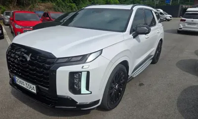 Hyundai Palisade · 2024 год