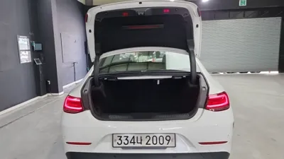 Mercedes-Benz CLS-Class 2020, 74000 км, за 31508.47 USD - фото 16