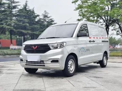 Wuling Hongguang V · 2020 год