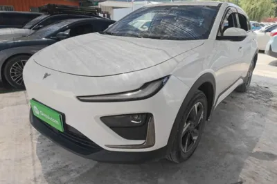 NETA X · 2024 год