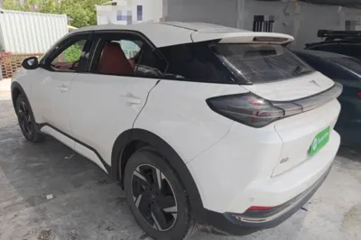 NETA X 2024, 45900 км, за 12326 USD