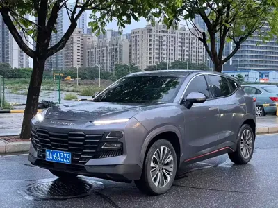 Jetour Dasheng · 2024 год