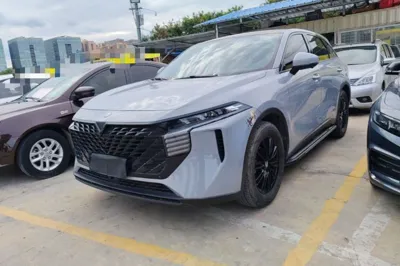 Venucia V · 2021 год