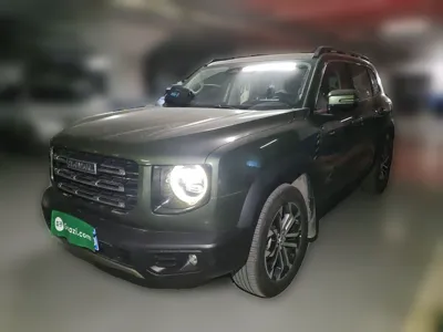 Haval Dargo · 2021 год