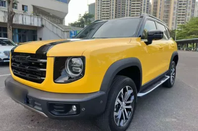Haval Dargo · 2021 год
