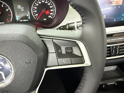 BYD MAX