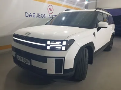 Hyundai Santafe · 2024 год