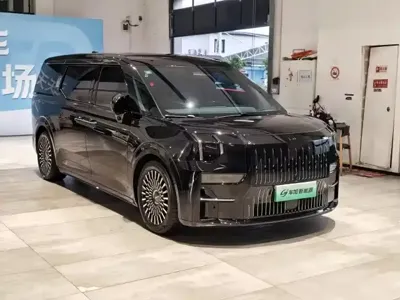 Zeekr 009 2023, 180799 км, за 32356.49 USD