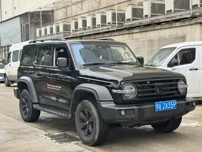 Tank Tank 300 2024, 34000 км, за 20116.21 USD