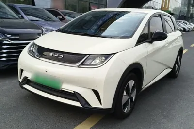 BYD Dolphin · 2023 год