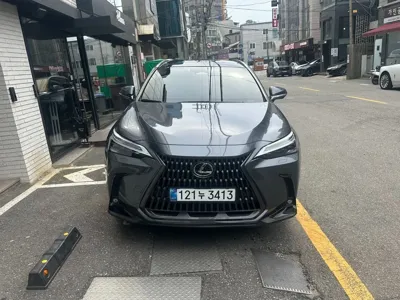 Lexus NX · 2025 год