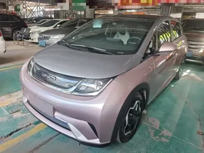 BYD Dolphin · 2022 год