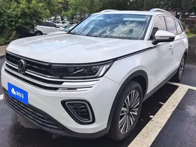 Volkswagen Tavendor · 2023 год