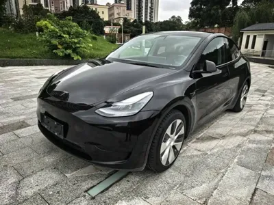 Tesla Model Y · 2023 год