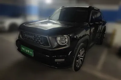 Haval H Dog · 2023 год