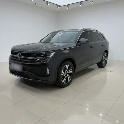 Volkswagen Tavendor · 2024 год