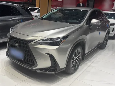 Lexus NX · 2024 год