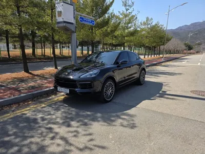 Porsche Cayenne · 2020 год