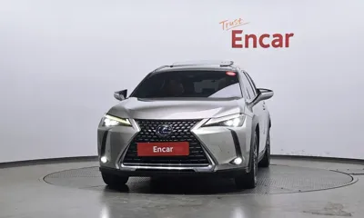 Lexus UX 2019, 119546 км, за 17876.87 USD
