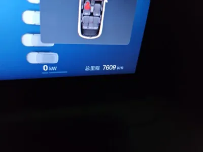 BYD Yuan Up 2025, 7600 км, за 13154.54 USD