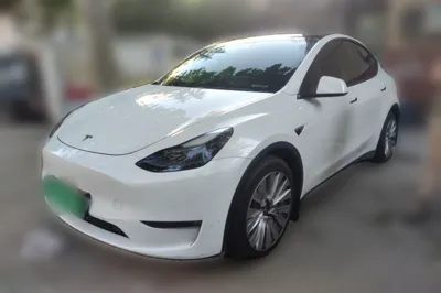 Tesla Model Y · 2021 год