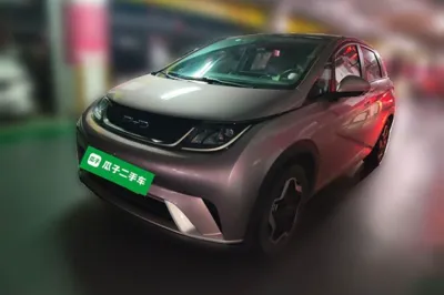 BYD Dolphin · 2021 год