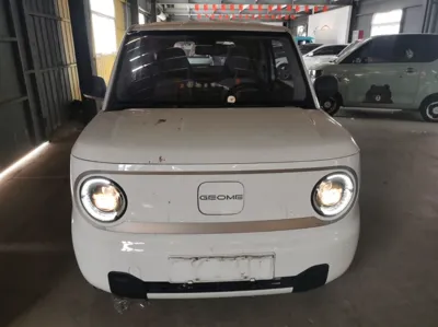 Geely Galaxy Panda