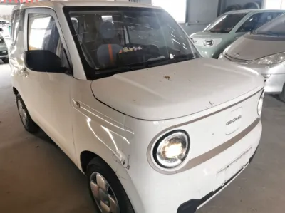 Geely Galaxy Panda