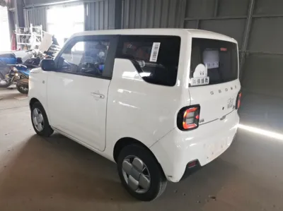 Geely Galaxy Panda