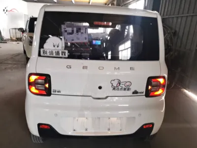 Geely Galaxy Panda