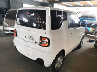 Geely Galaxy Panda