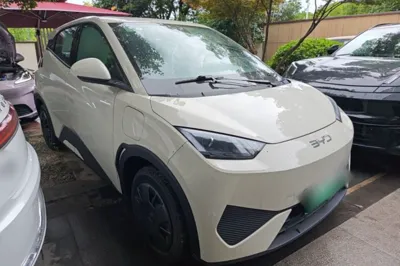BYD Seagull 2025, 100 км, за 10822 USD