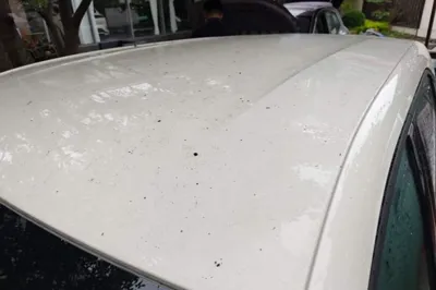BYD Seagull 2025, 100 км, за 10822 USD - фото 7