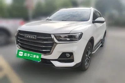 Haval H6 · 2021 год