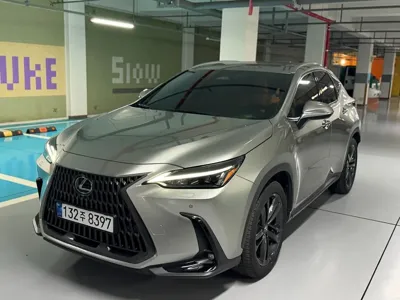 Lexus NX · 2025 год