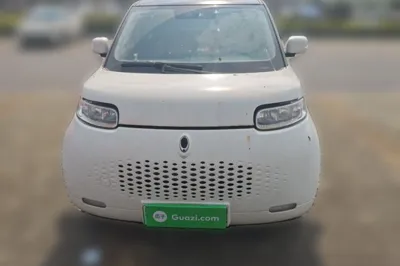 ORA White Cat 2022, 87000 км, за 7248 USD