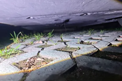 Tesla Model 3 · 2019 год