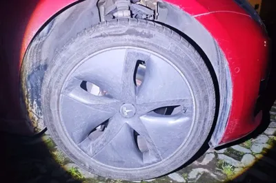 Tesla Model 3 2019, 62000 км, за 17555 USD - фото 14