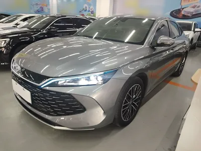 BYD Qin L · 2024 год