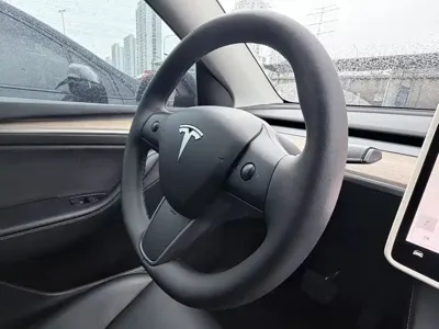 Tesla Model Y 2023, 132000 км, за 20598.49 USD - фото 13