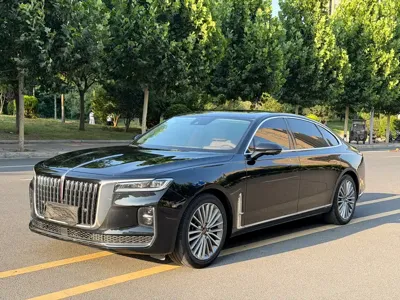Hongqi Hongqi H9 · 2022 год