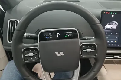 Li Auto L6 2024, 10500 км, за 30989 USD - фото 13