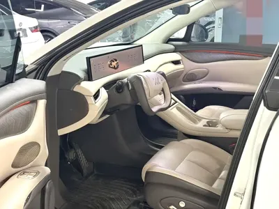 IM IM LS6 2024, 42000 км, за 20423.38 USD