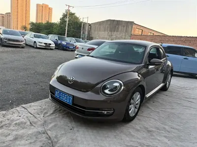 Volkswagen Beetle · 2014 год
