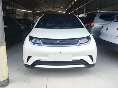 BYD Dolphin 2023, 26100 км, за 9461.94 USD