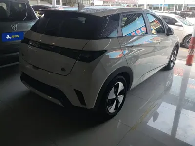 BYD Dolphin 2023, 26100 км, за 9461.94 USD