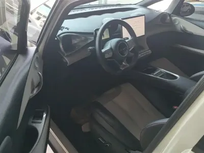 BYD Dolphin 2023, 26100 км, за 9461.94 USD - фото 9