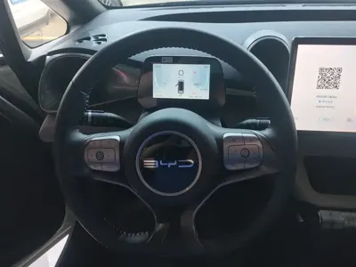BYD Dolphin 2023, 26100 км, за 9461.94 USD - фото 15