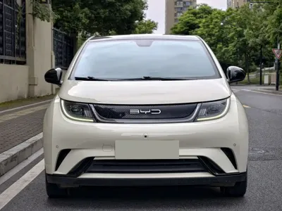 BYD Dolphin 2023, 56000 км, за 8504.84 USD